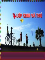 Bài thuyết trình về chim và thú