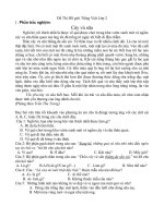 Đề thi HS giỏi Tiêng Việt lớp 2