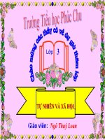 Các thế hệ trong một gia đình