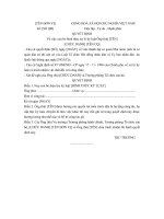 Mẫu quyết định xóa bỏ hình thức kỷ luật