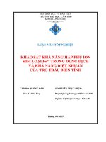 khảo sát khả năng hấp phụ ion kim loại fe3+ trong dung dịch và khả năng diệt khuẩn của tro trấu biến tính