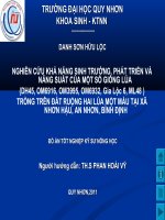 powerpoint luan văn mẫu so sánh khả năng sinh trưởng phát triển và năng suất của một số giống lúa