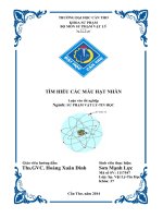 tìm hiểu các mẫu hạt nhân