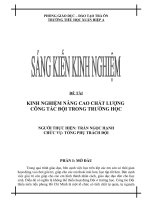 skkn KINH NGHIỆM NÂNG CAO CHẤT LƯỢNG CÔNG tác đội TRONG TRƯỜNG học 