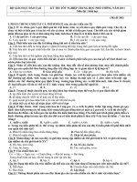 Đề thi tốt nghiệp năm 2011 môn Sinh   mã đề 385