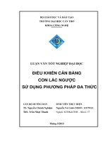điều khiển cân bằng con lắc ngược sử dụng phương pháp đa thức 