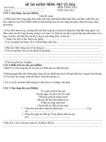 DE TIENG VIET SO 1352