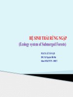 HỆ SINH THÁI RỪNG NGẬP(Ecology system of submerged forests)