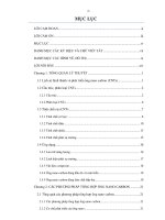 Nghiên cứu tối ưu hóa quy trình tổng hợp ống nano carbon (CNTs) mọc thẳng đứng bằng phương pháp lắng đọng hóa học nhiệt