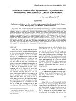 Báo cáo  nghiên cứu giống kháng bệnh lùn lúa cỏ, lùn xoắn lá ở vùng đồng bằng sông cửu long và đông nam bộ 