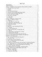 tìm hiểu về nguồn năng lượng tự nhiên mới nhất, băng cháy 