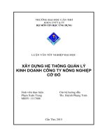 xây dựng hệ thống quản lý kinh doanh công ty nông nghiệp cờ đỏ 