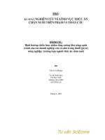 Báo cáo nghiên cứu nông nghiệp   định hướng chiến lược nhằm tăng cường khả năng cạnh tranh của các doanh nghiệp vừa và n