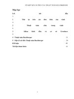 KHÓA LUẬN TÔT NGHIỆP THUẬT TOÁN BUCGBERGER