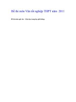 Đề thi môn Văn tốt nghiệp THPT năm