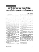 Báo cáo  nguyên tắc tranh tụng trong hệ thống các nguyên tắc cơ bản của luật tố tụng hình sự  