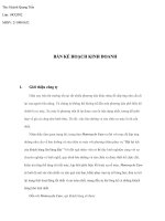 lập bản kế hoạch kinh doanh  motocare 