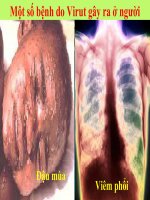 virut gây bệnh và ứng dụng thực tiễn