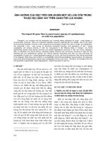 Báo cáo  ảnh hưởng của việc trôi gen bt đến một số loài côn trùng thuộc bộ cánh vảy trên quần thể lúa hoang 