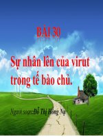 sự nhân lên của virut trong tế bào chủ
