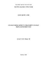Co giật động kinh và nhận diện co giật động kinh điện não   luận văn ths  công nghệ điện tử viễn thông  60 52 70 pdf 