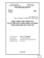 Tăng cường tính chống chịu lực và cải tiến chất lượng giống lúa bằng công nghệ sinh học thực vật