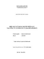 Hiệu quả sử dụng nguồn nhân lực tại công ty cổ phần in và bao bì goldsun   luận văn ths  kinh doanh và quản lý  60 34 05 pdf