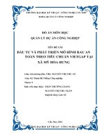 ĐẦU tư và PHÁT TRIỂN mô HÌNH RAU AN TOÀN THEO TIÊU CHUẨN VIETGAP tại xã mỹ hòa HƯNG