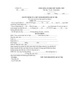 Mẫu quyết định xóa bỏ kỷ luật