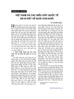 Báo cáo   việt nam và các điều ước quốc tế đã ký kết về nuôi con nuôi  