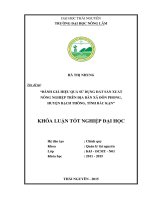 ĐÁNH GIÁ HIỆU QUẢ sử DỤNG đất sản XUẤT NÔNG NGHIỆP TRÊN địa bàn xã đôn PHONG, HUYỆN BẠCH THÔNG, TỈNH bắc kạn