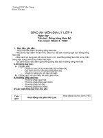 Địa lý 4: bài Đồng bằng Nam Bộ