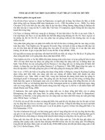 Báo cáo  tổng quan đề tài chọn tạo giống và kỹ thuật canh tác hồ tiêu 