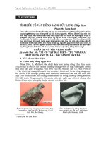 Báo cáo nghiên cứu khoa học    cổ vật VIỆT NAM  tìm HIỂU cổ vật ĐỒNG BẰNG cửu LONG