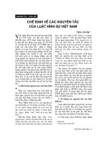 Báo cáo    chế định về các nguyên tắc của luật hình sự việt nam  