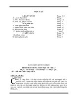 Skkn: Dạy MT thông qua trò chơi, tg: Nguyễn Thị Hiên