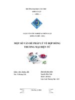 Một số vẩn đề pháp lý về hợp đồng thương mại điện tử 