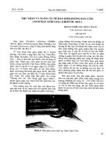 Báo cáo  thu nhận và nuôi cấy tế bào sinh dưỡng báo gấm neofelis nebulosa (griffth,1821)   hoàng nghĩa sơn, trần cẩm tú, lê văn ty 