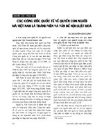 Báo cáo   các công ước quốc tế về quyền con người mà việt nam là thành viên và vấn đề nội luật hoá