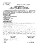 các loại kế phong trào Đội