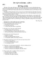 đọc thầm tham khảo cuối HKI lớp 4