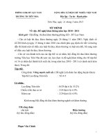 Mẫu báo cáo thi đua các loại