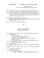 Đề thi chọn Học sinh giỏi lớp 6 môn Ngữ văn