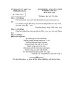 Đề thi tuyển sinh lớp 10 môn ngữ văn năm 2010 2011 tỉnh Hậu Giang