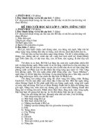 Đề thi cuối kì 1 Lớp 5