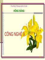 Bai 4 Thuc hanh Su dung dong ho do dien