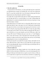 Chỉ số phát triển con người (HDI)ở Việt Nam qua những năm(2000 đến nay)