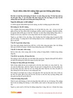 Tuyệt chiêu chữa hôi miệng hiệu quả mà không phải dùng thuốc