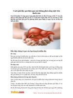 Cách giải độc gan hiệu quả mà không phải uống một viên thuốc nào