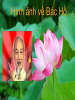 Hình ảnh Bác Hồ kính yêu